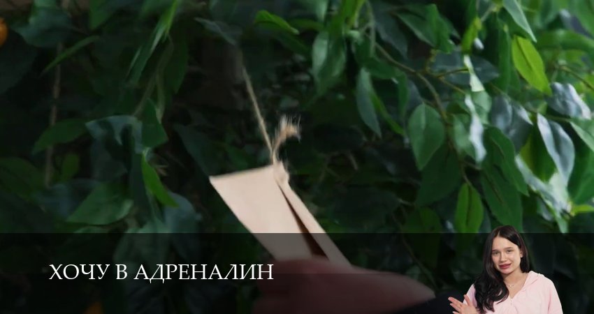 Превью Хочу в адреналин